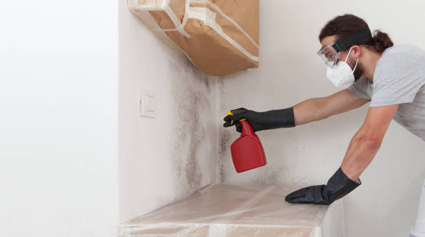 Professional Mold Removal technician working in Fischer, TX